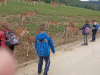 IMG_20220530_140012