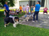 Hachi-in-Winner-se-predstavita